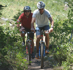 Selects the Bicycle Rentals Web Page