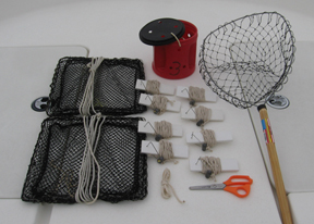 Crabbing Gear Rentals include a dip net, hand lines and crab traps