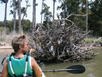 Selects the Kayak Excursions and Tours Web Page